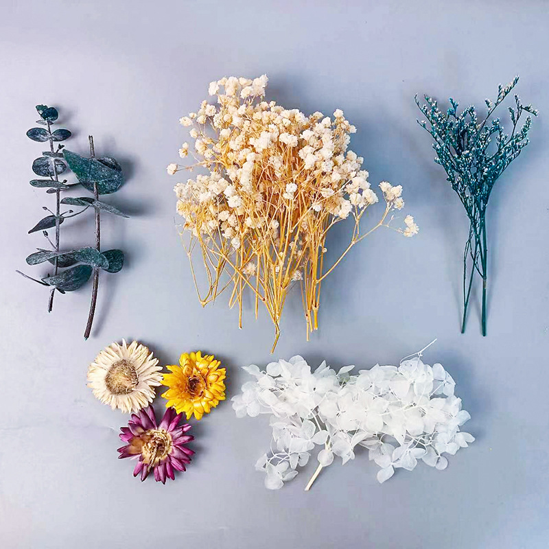 Embellish Craft - 1 Packung verschiedene getrocknete Blumen-Set für