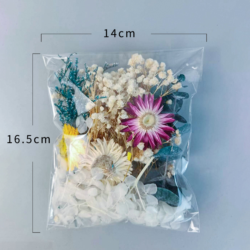1 Packung verschiedene getrock – Embellish Craft Bewertung und Preis